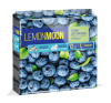 LEMON MOON ЧЕРНИКА губки для посуды КРУПНОПОРИСТЫЕ 96х64х33 12шт (6)
