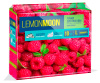 LEMON MOON МАЛИНА губки для посуды КРУПНОПОРИСТЫЕ 96х64х33 10шт (6)