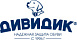 Дивидик